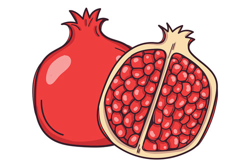 وکتور لایه باز انار قرمز ویژه یلدا